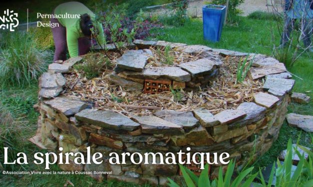 La spirale aromatique en permaculture