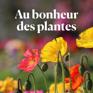 Au bonheur des plantes