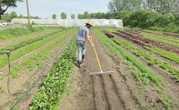 Récapitulatif des différents types de buttes de permaculture : hugelkultur, keyhole, spirale aromatique, butte autofertile, culture en lasagne, butte façon Philip Forrer…un guide complet pour faciliter votre choix !