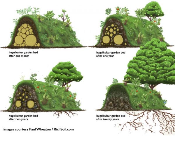 Récapitulatif des différents types de buttes de permaculture : hugelkultur, keyhole, spirale aromatique, butte autofertile, culture en lasagne, butte façon Philip Forrer…un guide complet pour faciliter votre choix !