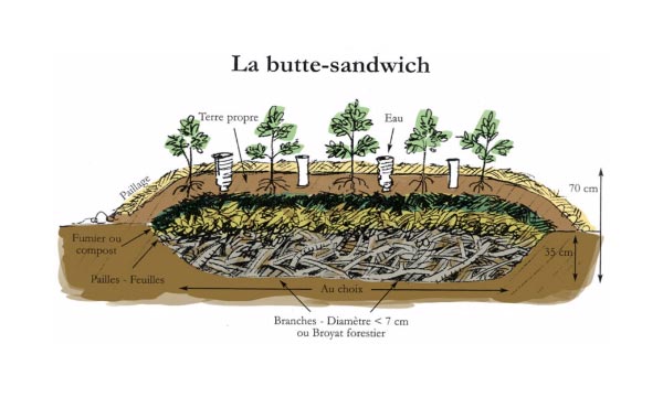 Récapitulatif des différents types de buttes de permaculture : hugelkultur, keyhole, spirale aromatique, butte autofertile, culture en lasagne, butte façon Philip Forrer…un guide complet pour faciliter votre choix !