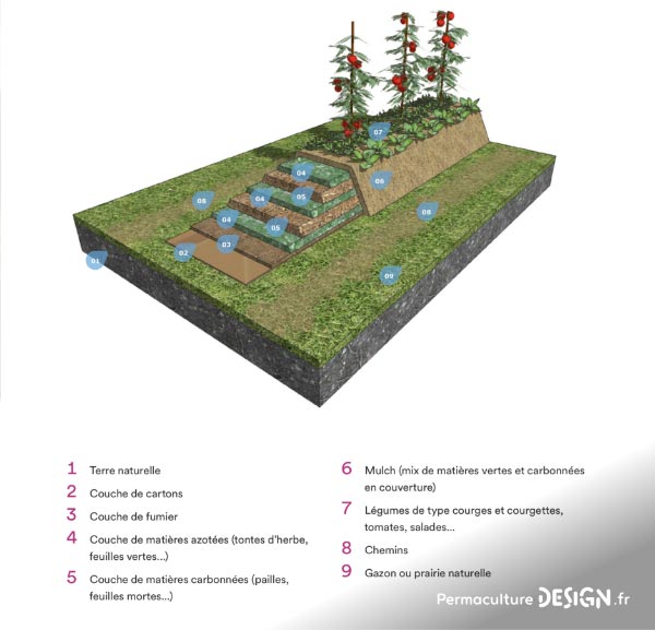 Récapitulatif des différents types de buttes de permaculture : hugelkultur, keyhole, spirale aromatique, butte autofertile, culture en lasagne, butte façon Philip Forrer…un guide complet pour faciliter votre choix !