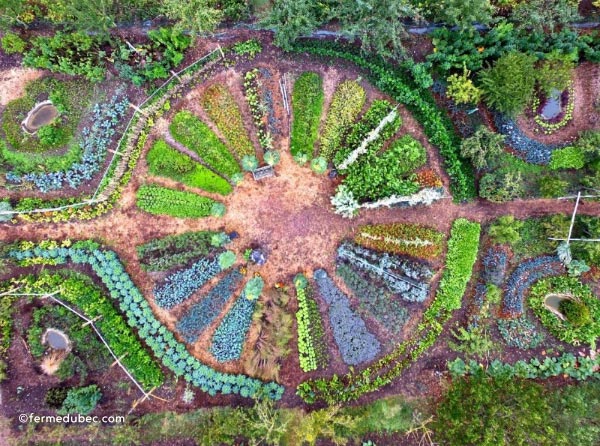 Récapitulatif des différents types de buttes de permaculture : hugelkultur, keyhole, spirale aromatique, butte autofertile, culture en lasagne, butte façon Philip Forrer…un guide complet pour faciliter votre choix !