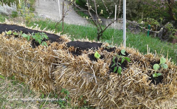 Récapitulatif des différents types de buttes de permaculture : hugelkultur, keyhole, spirale aromatique, butte autofertile, culture en lasagne, butte façon Philip Forrer…un guide complet pour faciliter votre choix !