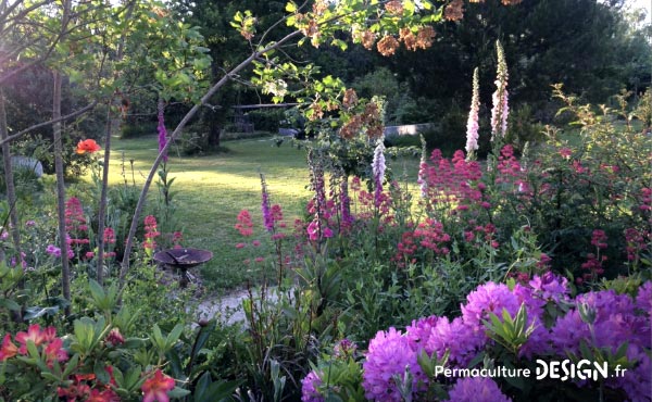 Grâce à la permaculture, Stéphanie a aménagé son jardin, s’est ouvert aux autres et a changé de vie pour retrouver sa place dans l’écosystème et de l’harmonie dans sa vie de tous les jours !