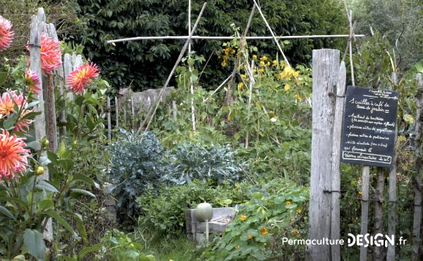 Grâce à la permaculture, Stéphanie a aménagé son jardin, s’est ouvert aux autres et a changé de vie pour retrouver sa place dans l’écosystème et de l’harmonie dans sa vie de tous les jours !