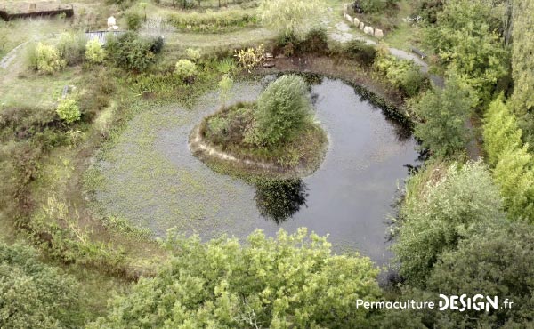 Grâce à la permaculture, Stéphanie a aménagé son jardin, s’est ouvert aux autres et a changé de vie pour retrouver sa place dans l’écosystème et de l’harmonie dans sa vie de tous les jours !