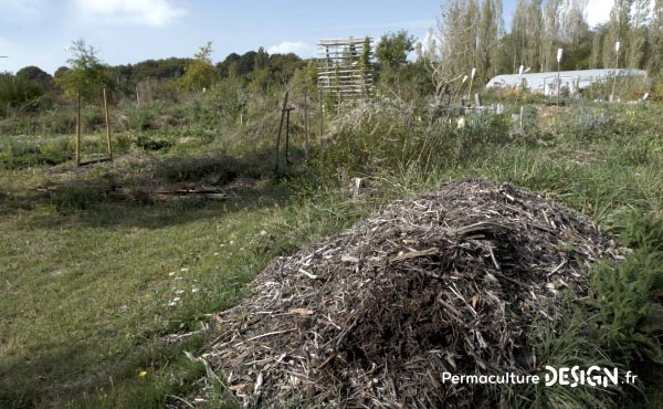 Grâce à la permaculture, Stéphanie a aménagé son jardin, s’est ouvert aux autres et a changé de vie pour retrouver sa place dans l’écosystème et de l’harmonie dans sa vie de tous les jours !