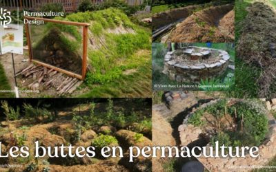 Butte de permaculture : le guide complet