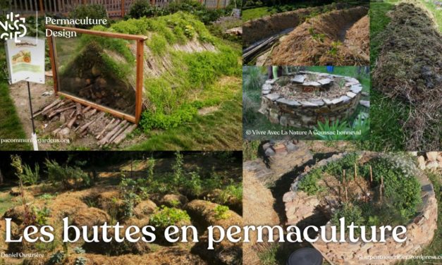 Butte de permaculture : le guide complet