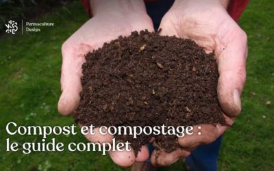Compost et compostage : le guide complet