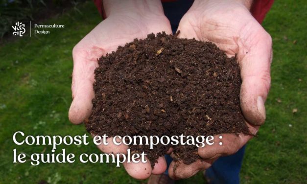 Compost et compostage : le guide complet