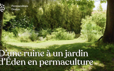 D’une ruine à un jardin d’Eden en permaculture : la transformation chez Marie