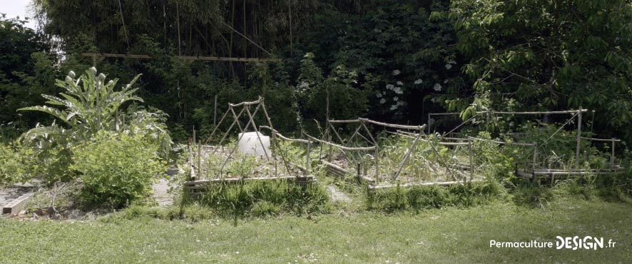 Vidéo sur la transformation du jardin de Marie en jardin d’Eden en permaculture où elle vit aujourd’hui en harmonie avec la nature et sa biodiversité.