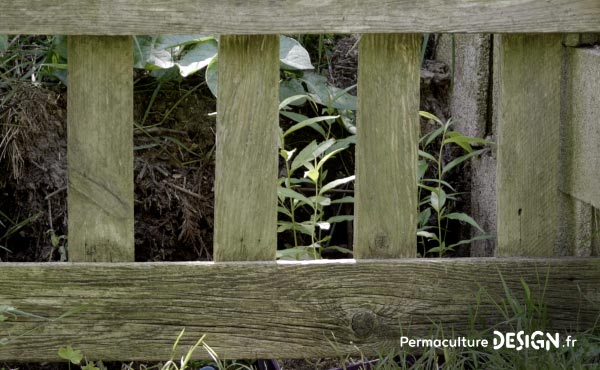 Vidéo sur la transformation du jardin de Marie en jardin d’Eden en permaculture où elle vit aujourd’hui en harmonie avec la nature et sa biodiversité.