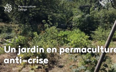 Le jardin en permaculture : anti-crise, partage, santé…