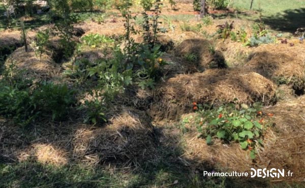 Vidéo sur l’aménagement d’un jardin en permaculture, un jardin à la fois anti-crise, partage et santé !