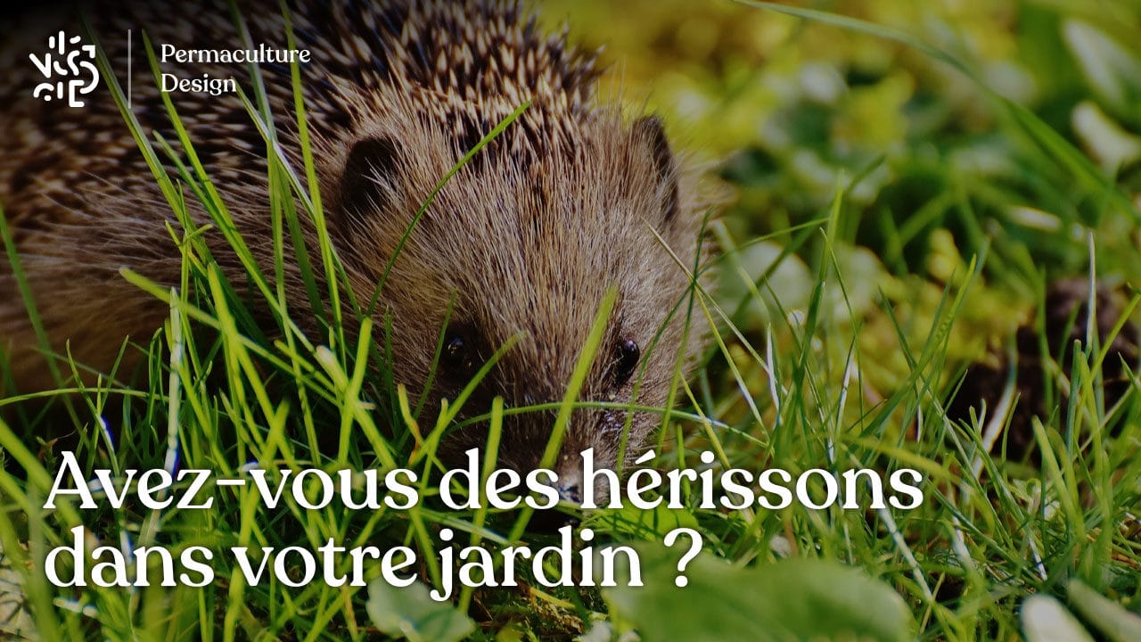 Passage Pour Hérisson – Porte/clôture/tunnel En Plastique Recyclé, Pour Jardins, Aide à La Conservation