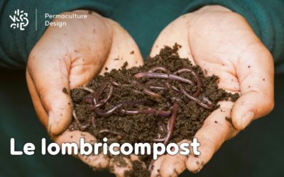 Lombricomposteur : faire votre lombricompost simplement