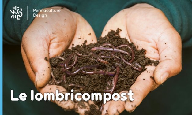 Lombricomposteur : faire votre lombricompost simplement