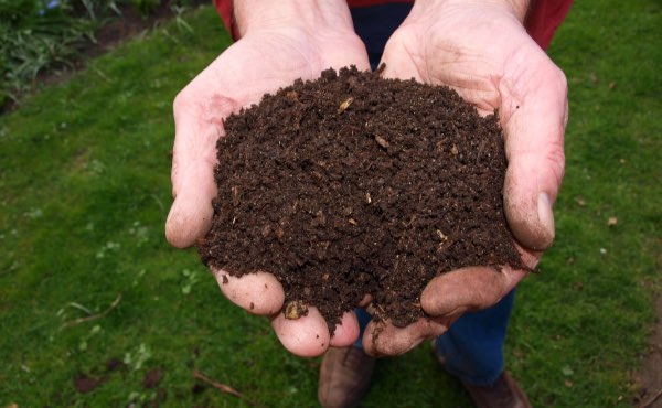 Un lombricomposteur permet de faire du compost simplement, c’est un super composteur d’appartement très efficace avec de nombreux avantages.