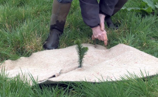 Quand on parle de paillage au jardin ou encore de paillis ou de mulch, difficile d’y voir clair. Pour vous aider voici un guide complet sur les paillages au jardin pour bien les choisir !