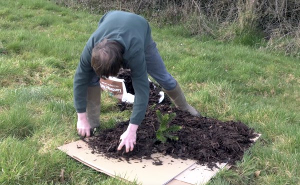 Quand on parle de paillage au jardin ou encore de paillis ou de mulch, difficile d’y voir clair. Pour vous aider voici un guide complet sur les paillages au jardin pour bien les choisir !