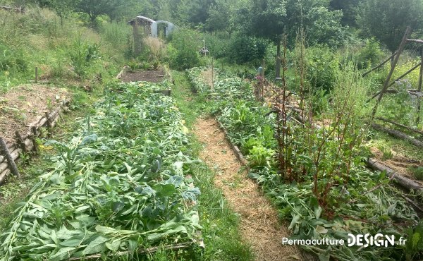 Quand on parle de paillage au jardin ou encore de paillis ou de mulch, difficile d’y voir clair. Pour vous aider voici un guide complet sur les paillages au jardin pour bien les choisir !