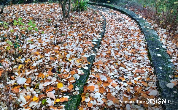 Quand on parle de paillage au jardin ou encore de paillis ou de mulch, difficile d’y voir clair. Pour vous aider voici un guide complet sur les paillages au jardin pour bien les choisir !