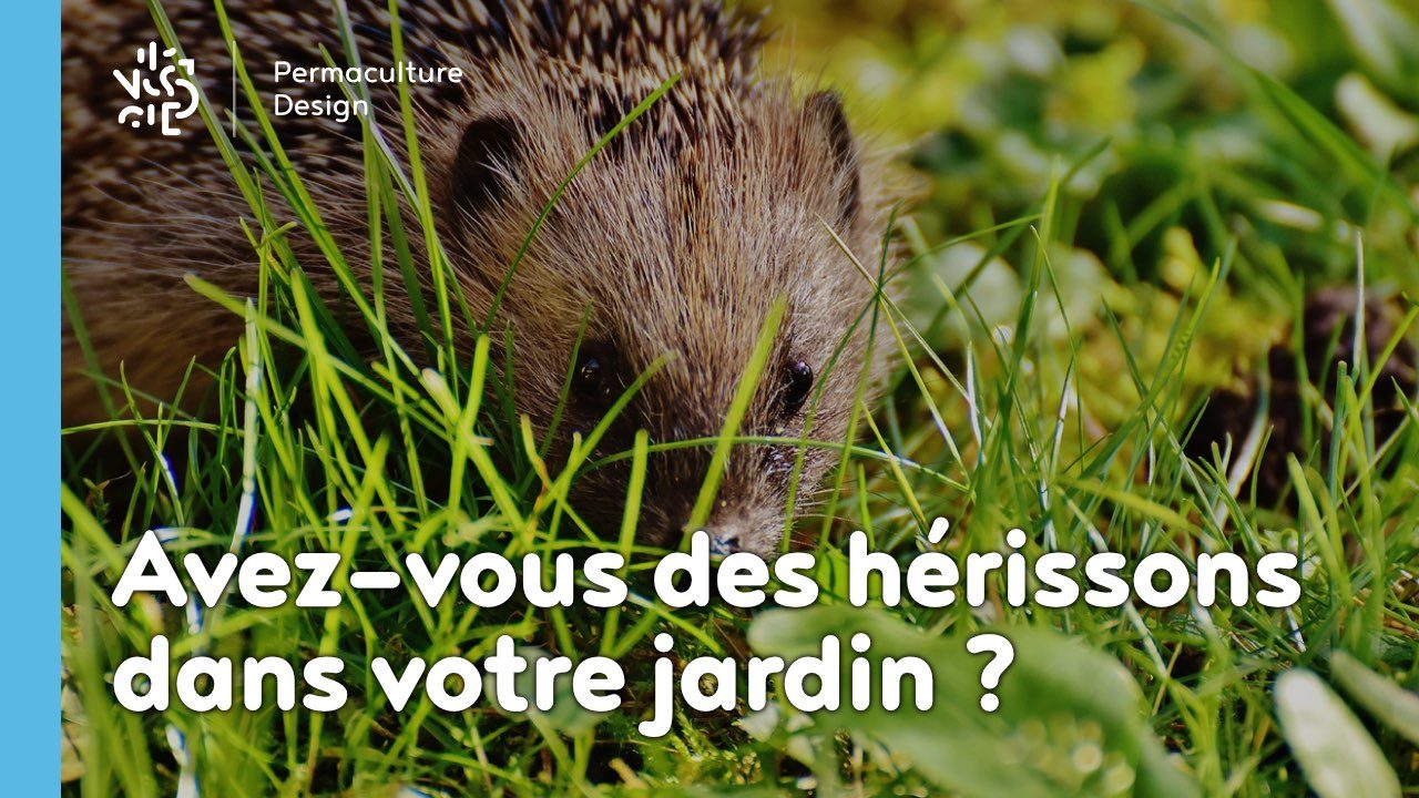 LE HERISSON