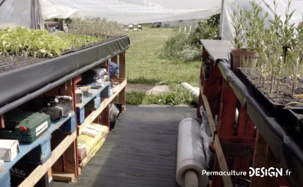 Découvrez le projet de micro ferme en permaculture de Sophie et Yoann, une microferme vivrière où l’éducation des enfants au fonctionnement de la nature joue un rôle central.