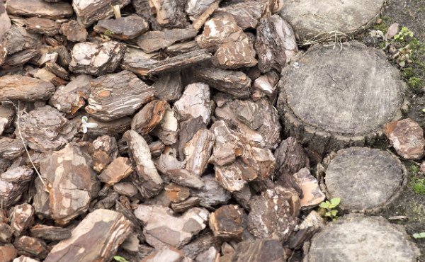 L’écorce de bois et plus particulièrement l’écorce de pin est un paillage très répandu pouvant avoir son utilité au jardin en permaculture.