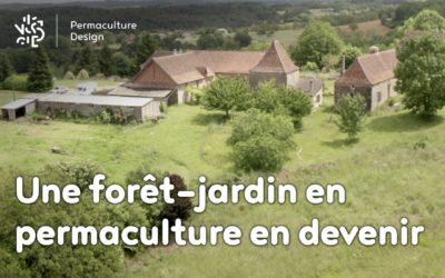 Un potager traditionnel devenu forêt jardin en permaculture