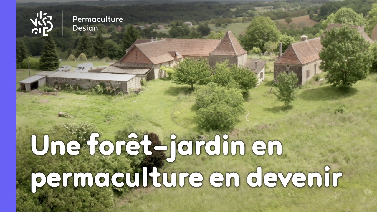 Découvrez comment Catherine et Alain ont transformé un ancien potager en foret jardin en permaculture grâce aux guildes autour des arbres fruitiers.