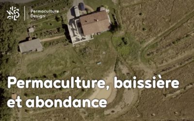 Permaculture en famille, baissière et abondance