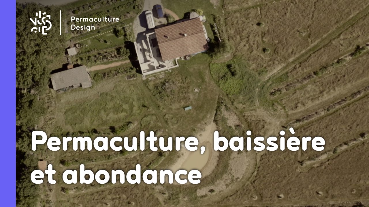 Romain témoigne de sa façon de faire de la permaculture en famille, avec et pour les enfants sur son terrain d’un hectare en Charente Limousine qu’il a notamment aménagé avec un système de baissières et de haies biodiversifiées.