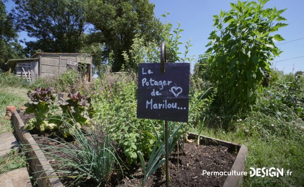 Romain témoigne de sa façon de faire de la permaculture en famille, avec et pour les enfants sur son terrain d’un hectare en Charente Limousine qu’il a notamment aménagé avec un système de baissières et de haies biodiversifiées.