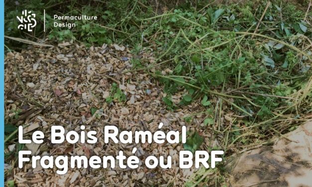 Le BRF (Bois Raméal Fragmenté) en paillage