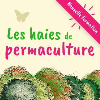 Invitez la permaculture dans votre jardin