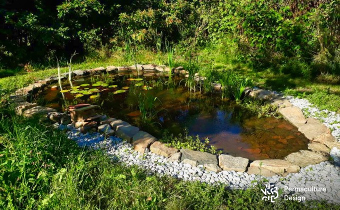 Bénéfique pour l’écosystème, la mare est un élément incontournable pour favoriser la biodiversité au jardin potager et elle a, en plus, tellement d’autres fonctions en permaculture qu’on vous invite vraiment à en créer chez vous ;) !