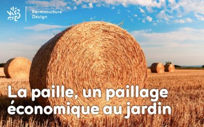 La paille : en botte, un paillage économique au jardin