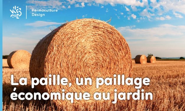 La paille : en botte, un paillage économique au jardin