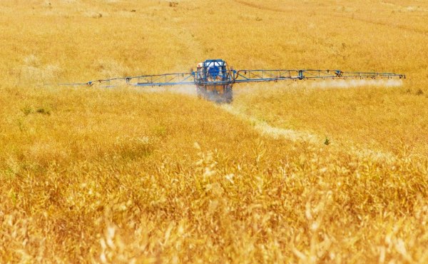 Application de produits chimiques sur un champ de céréales en monoculture.