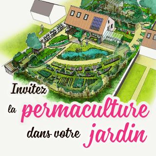Invitez la permaculture dans votre jardin