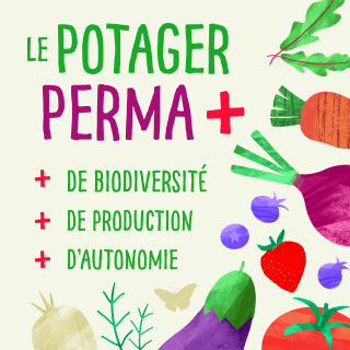 Invitez la permaculture dans votre jardin