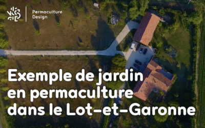 Nadia et Yann : Potager en permaculture et plantation d’arbres en sol très sec