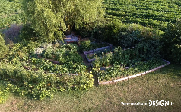 Grâce aux outils de design, Nadia et Yann ont déplacé leur potager à un endroit beaucoup plus agréable et accessible pour eux avec des résultats au-delà de leurs espérances.