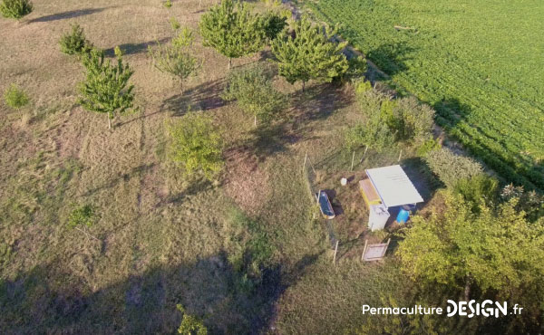 Aller observer l’évolution de leur plantations d’arbres, un vrai bonheur pour Nadia et Yann !