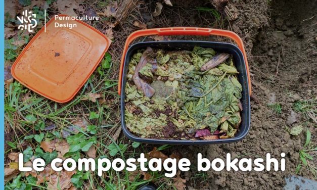 Le bokashi, un composteur de cuisine