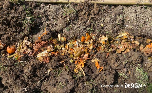 Ici, le contenu fermenté d’un composteur Bokashi est mis dans une tranchée de terre où il restera pour enrichir le sol en vu de futures plantations.